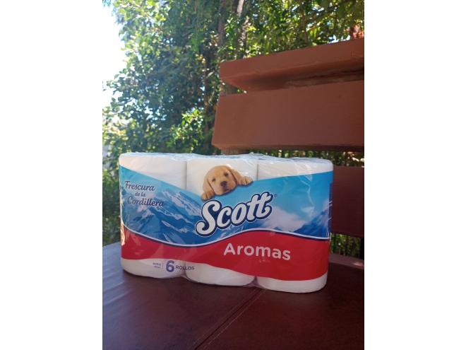 papel higuienico scott 6 rollos/ venta sólo sector Los Romeros. Concón